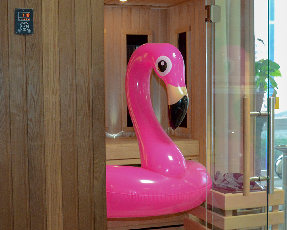 Was hat denn der Flamingo in der Sauna zu suchen? Hier ist wohl etwas schief gelaufenist wohl